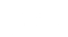 Department of Social Service logo